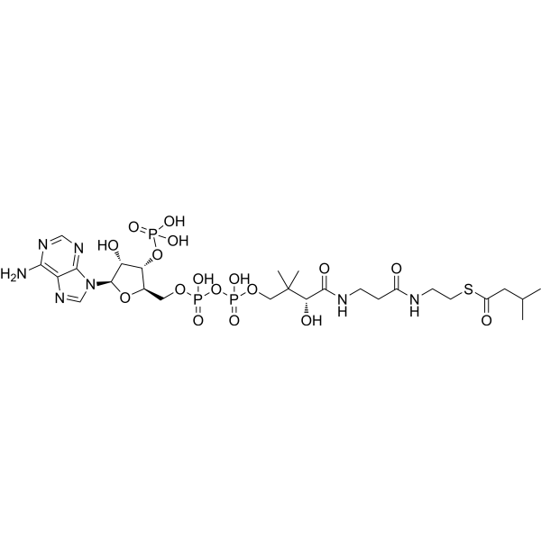 Isovaleryl-CoA 6244-91-3